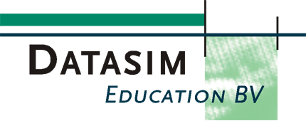 Logo Datasim